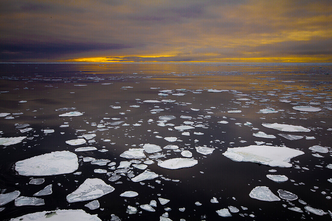 Floating ice during sunset