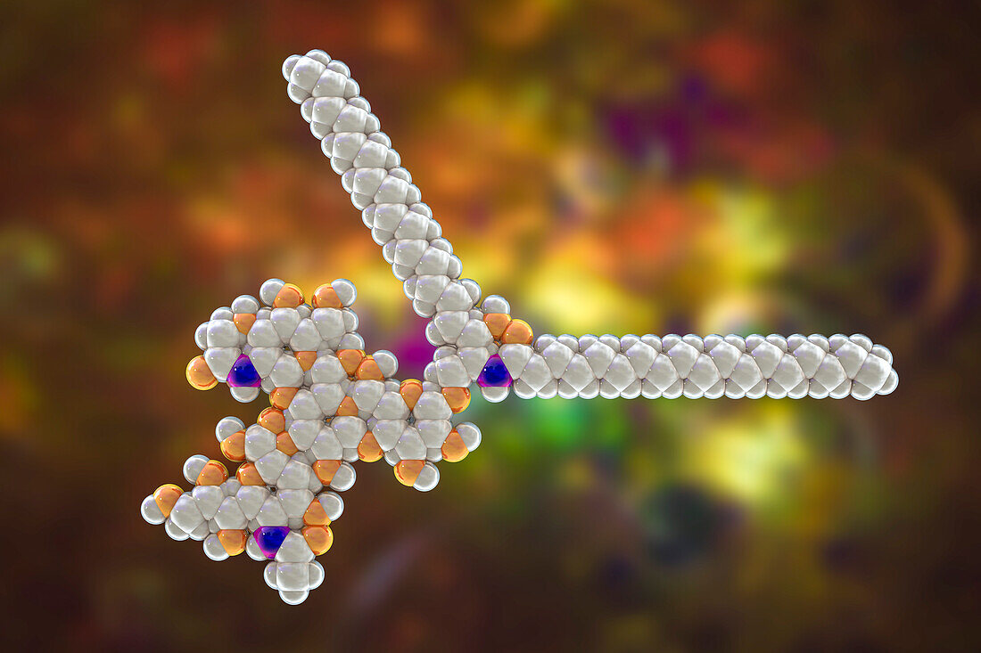 Molecule of Ganglioside GM2, illustration