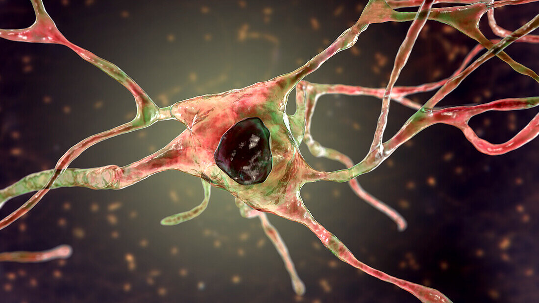 Nerve cell, illustration