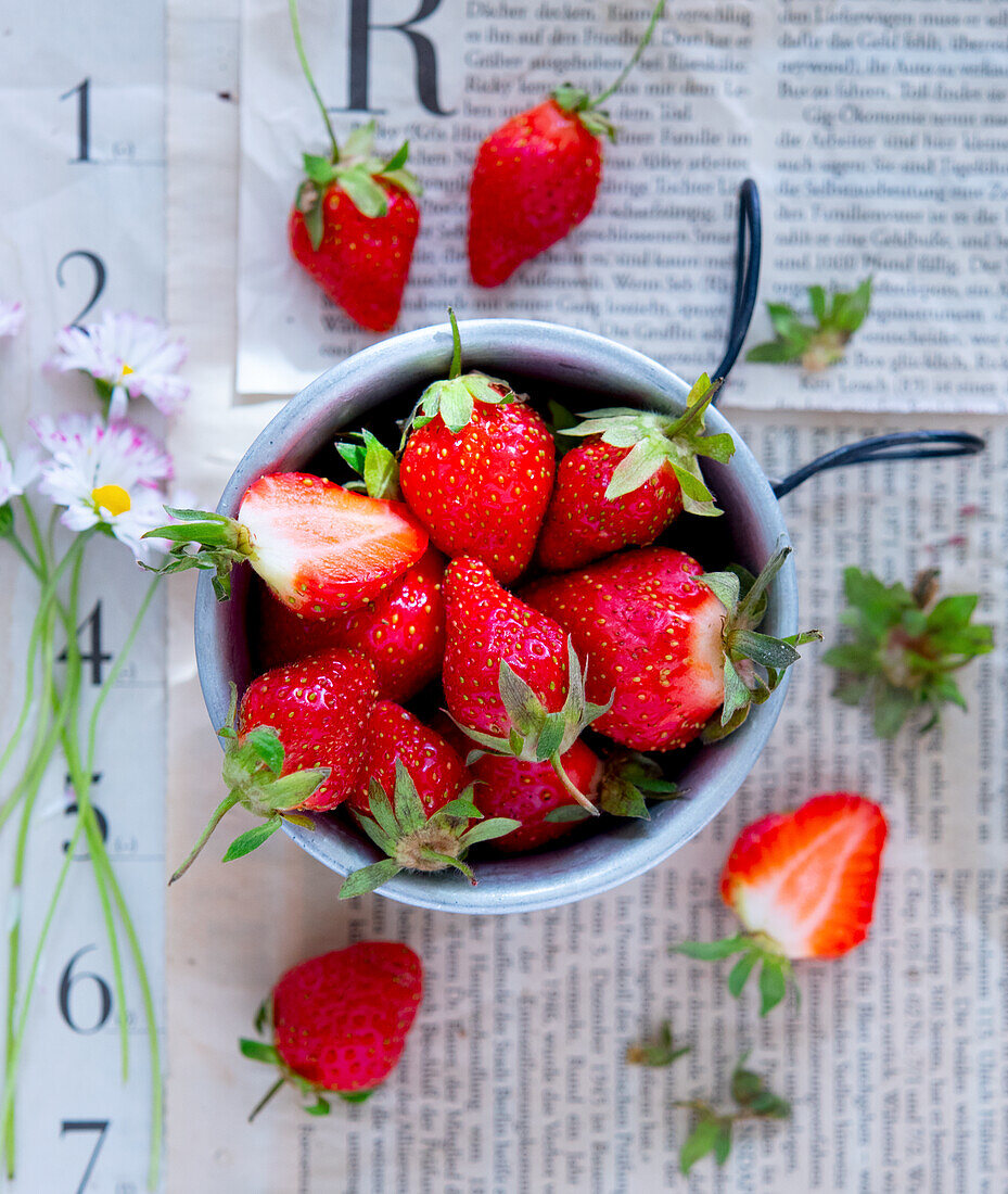 Frische Erdbeeren