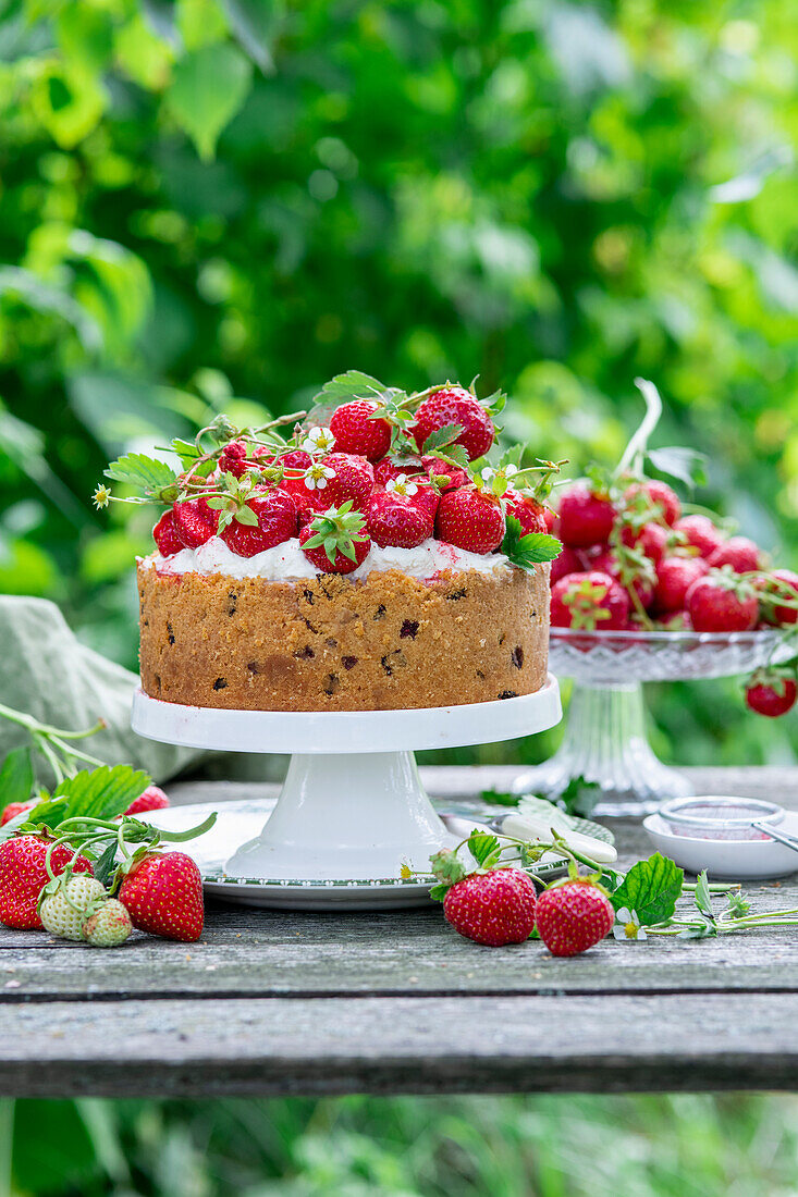 Erdbeer-Cheesecake mit gefriergetrocknetem Erdbeerboden