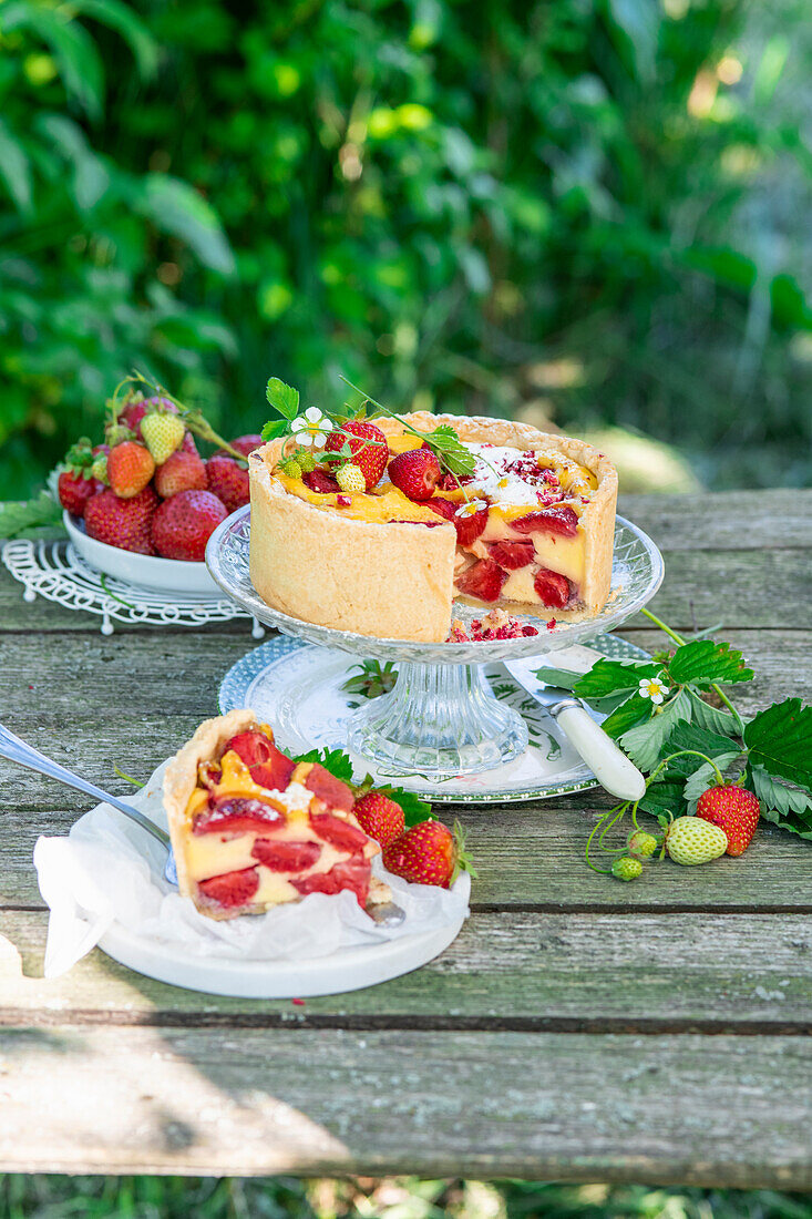 Erdbeer-Pudding-Torte