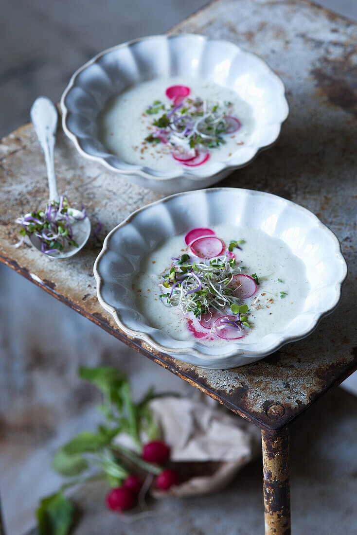 Kohlrabisuppe mit Radieschen und Microgreens