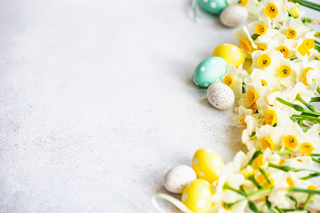Holiday Easter frame made with daffodils and colored eggs on concrete background