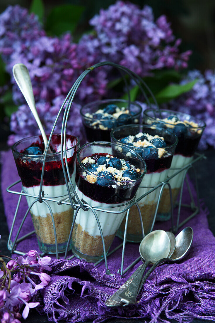 Cheesecake layered dessert with blueberries