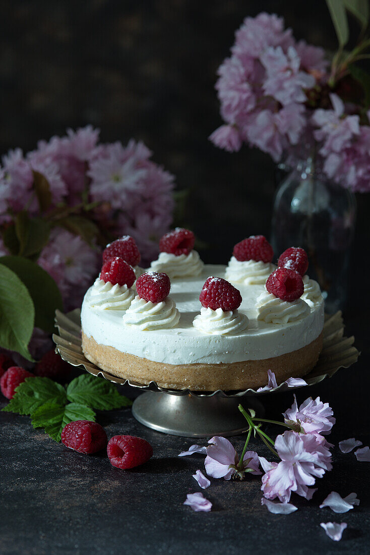 Cheesecake mit frischen Himbeeren