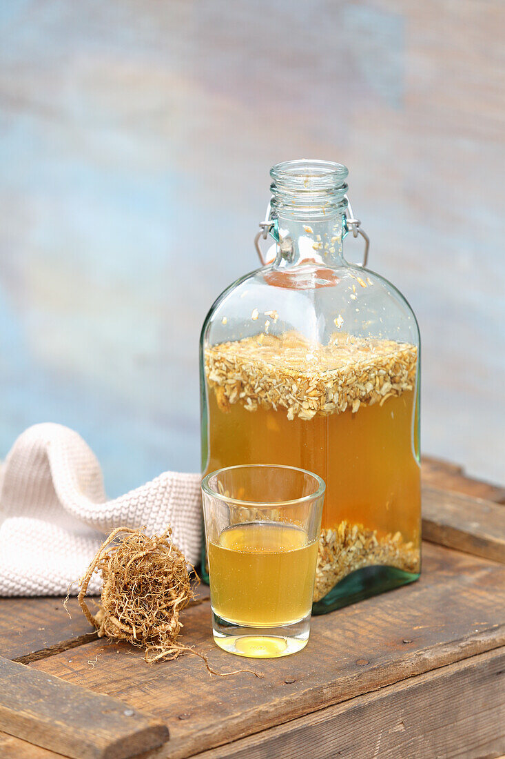 Homemade angelica wine (to support digestion)