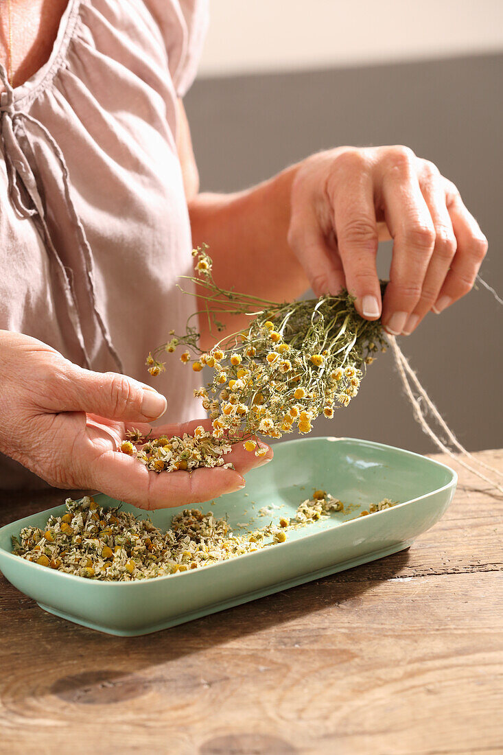 Stripping flowers from dried medicinal herbs