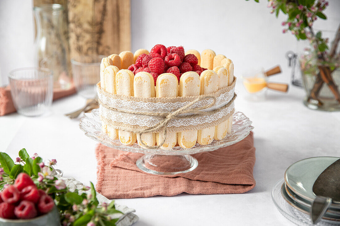 Raspberry and eggnog charlotte with sponge cake base