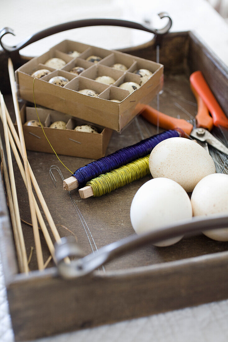 Wooden tray with blown out eggs and decorative wire