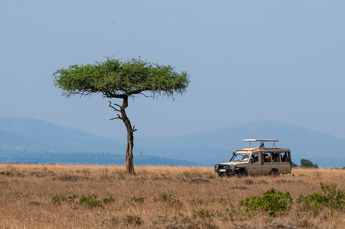 Tourist safari vehicle on a game drive