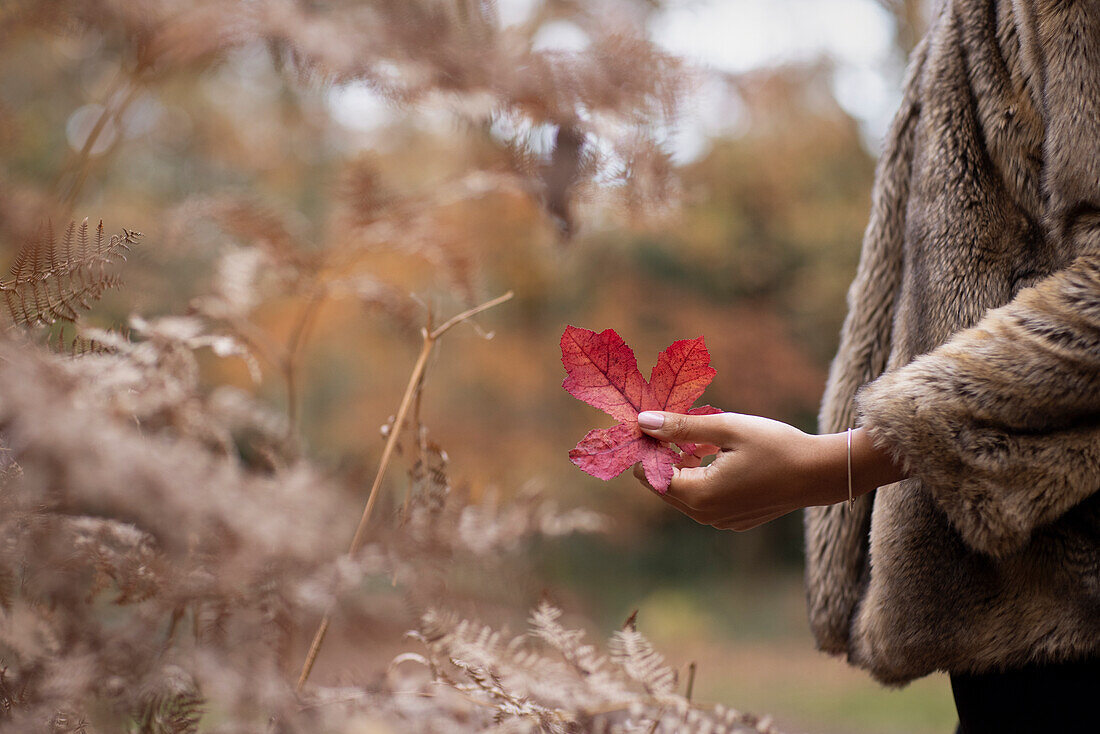 Woman in fur coat holding red autumn leaf in park