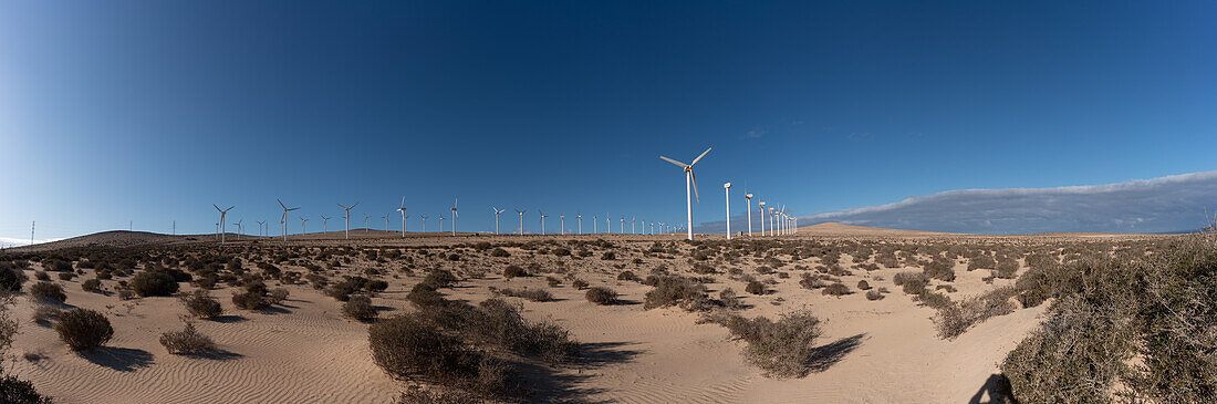 Sandy desert on the canary island, Spain