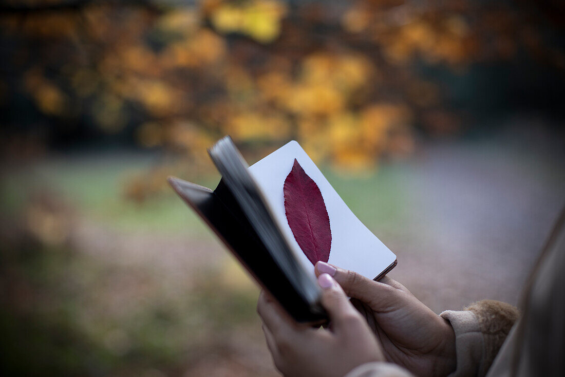 Young woman placing red autumn leaf in journal