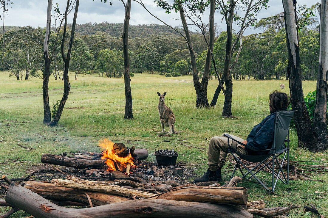 Man at campfire watching kangaroo, Australian bush