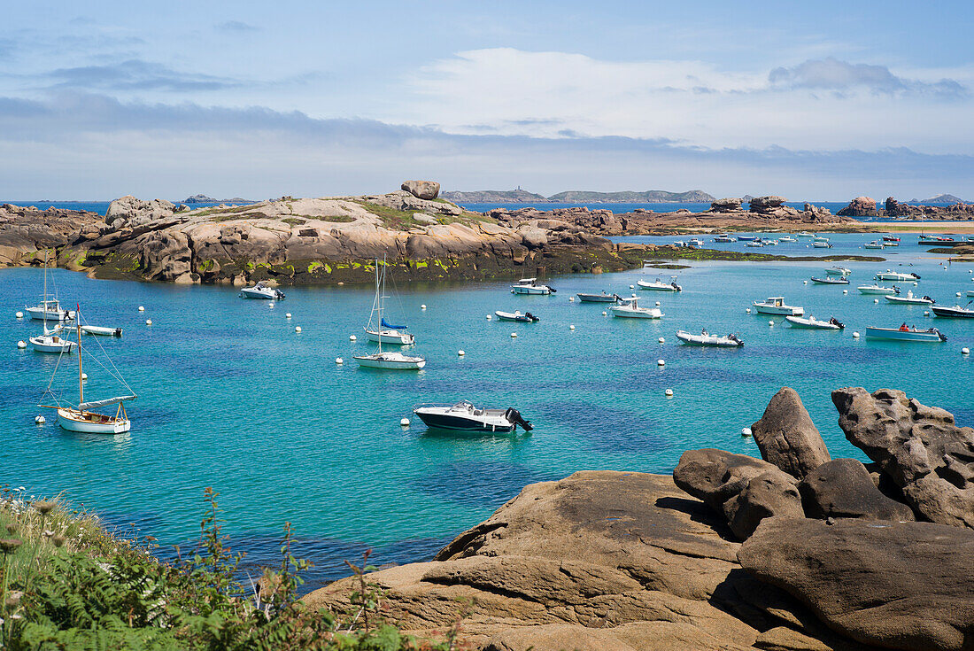 Breton coast, on the GR34 customs trail, between Tregastel and Ploumanach, Cote de granit Rose (Pink Granite Coast), Cotes d'Armor, Brittany, France