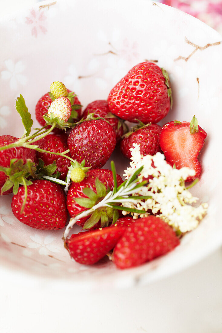 Fresh strawberries with elderflower blossoms in a bowl