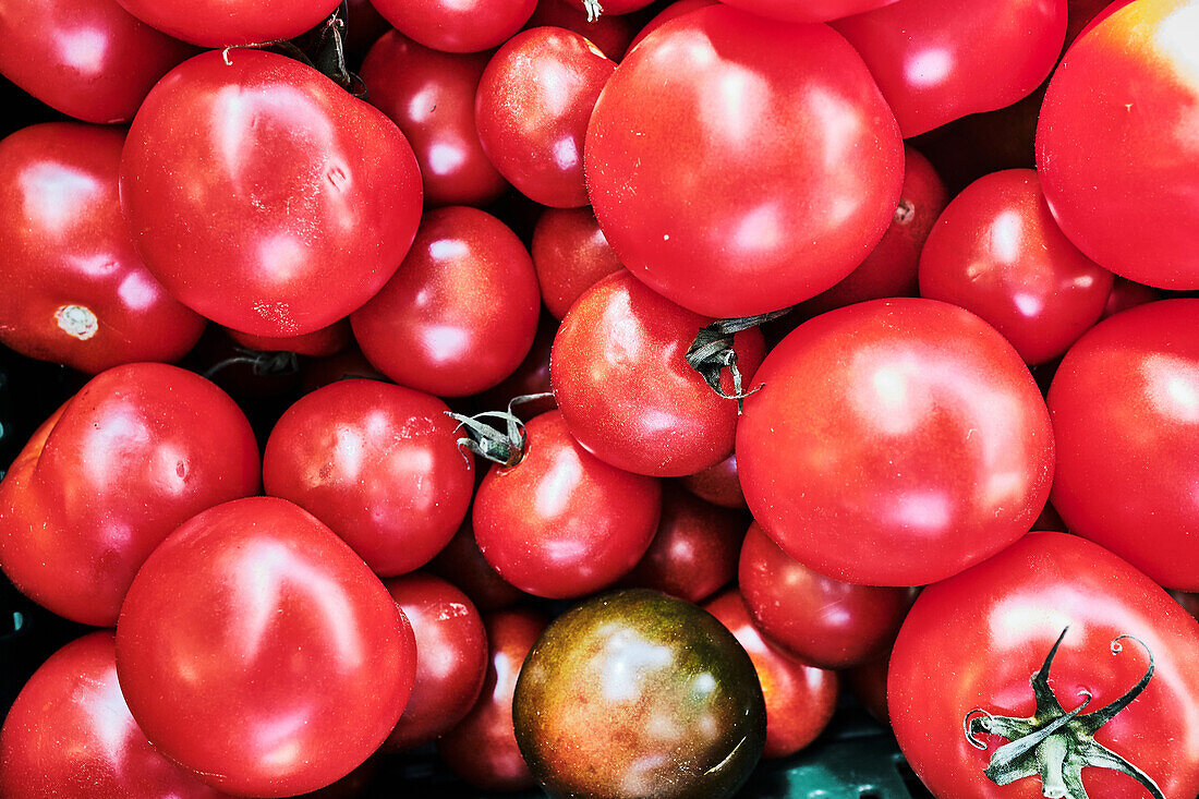 Organic tomatoes from the farmer's market