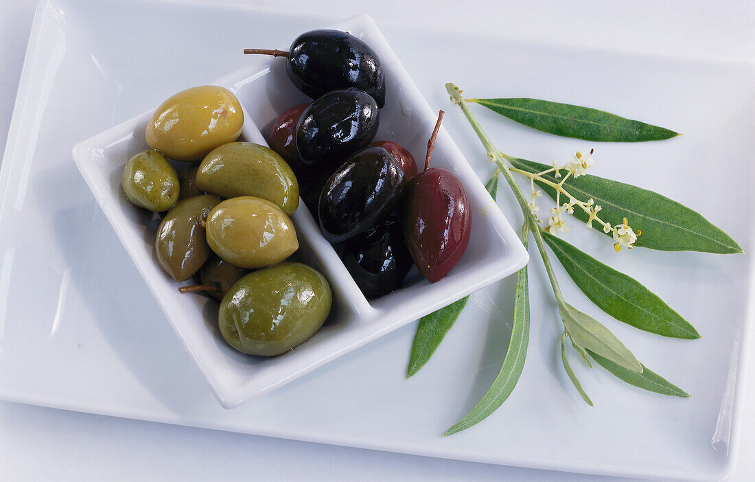 Schale mit grünen und schwarzen Oliven, daneben Olivenzweig