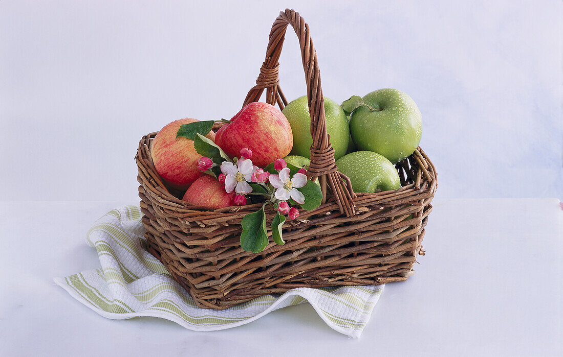 Basket with red and green apples and apple blossoms