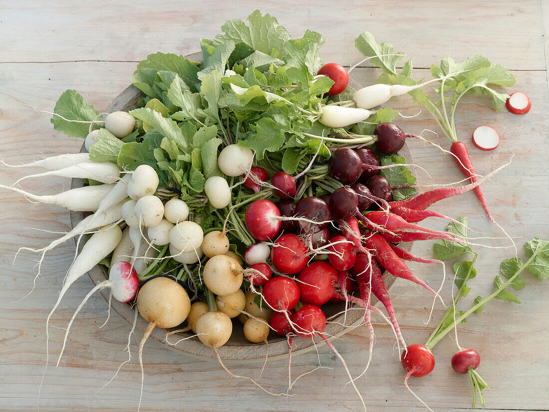 A bowl with different coloured radishes