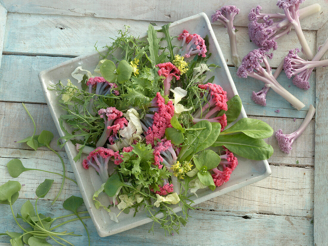 Plate with blanched purple cauliflower and various green salad leaves