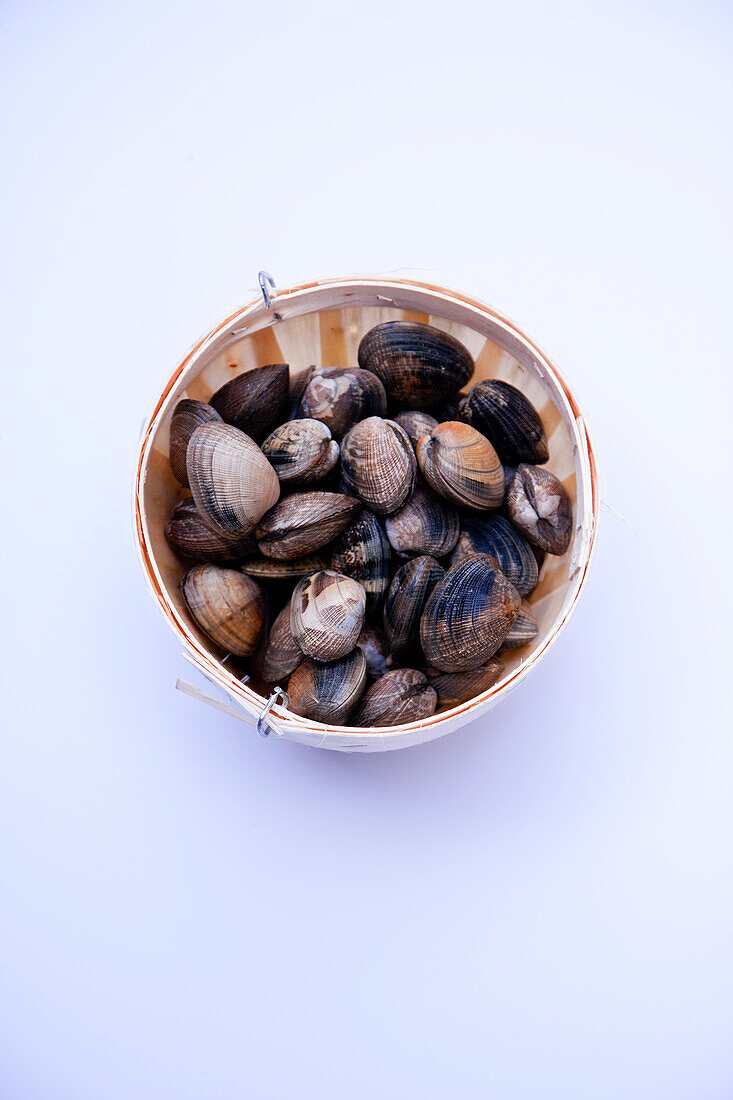Clams in a basket