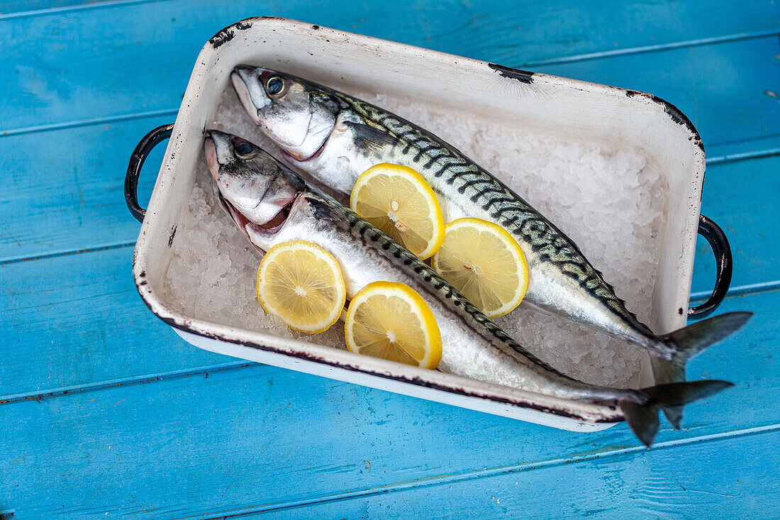 Fresh mackerel with lemon slices on ice
