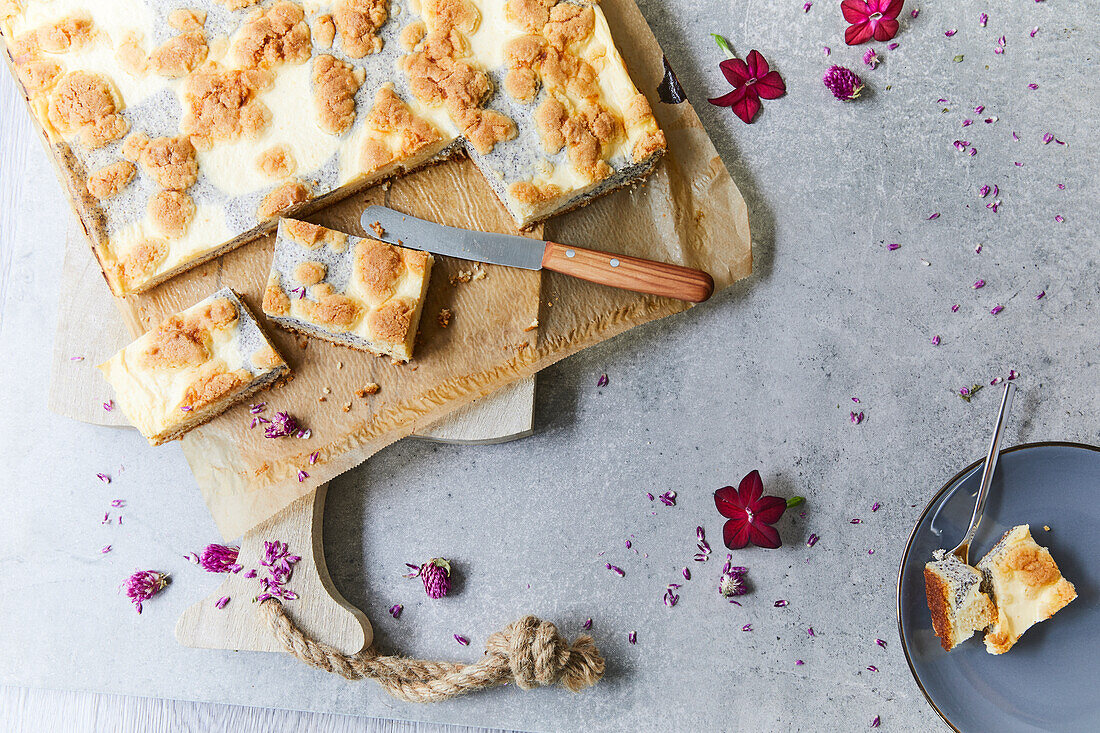 Mohn-Quark-Kuchen vom Blech