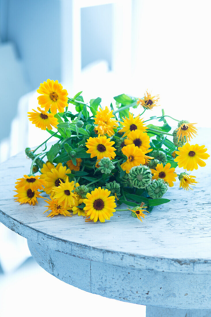 Bouquet of marigolds