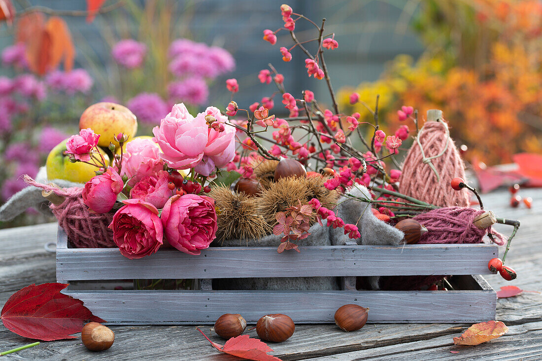 Fragrant autumn decoration with quinces, apples, chestnuts, peony (Euonymus europaeus) and rose petals
