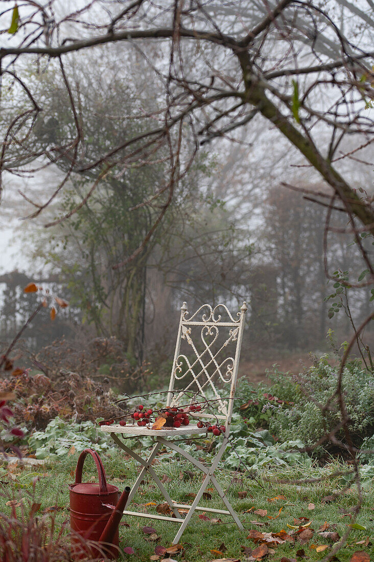 Metallstuhl und Gießkanne im spätherbstlichen Garten