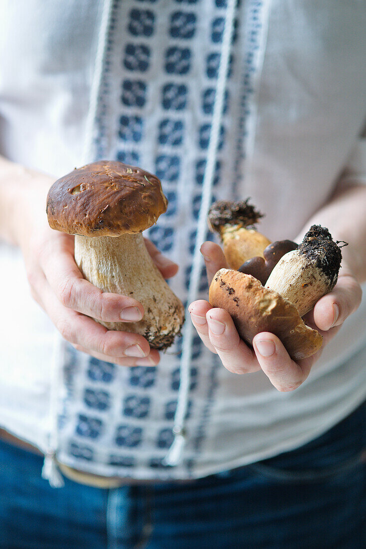 Hands holding fresh porcini mushrooms