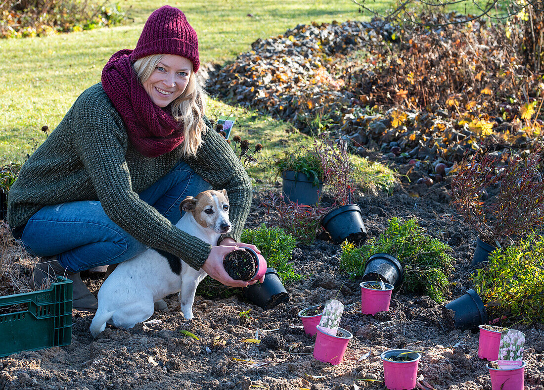 Woman with dog planting bulbs and perennials