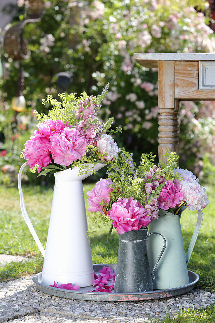 Peonies 'Sarah Bernhardt', heritage tree peonies, lady's mantle and snapdragons in vintage tin jugs