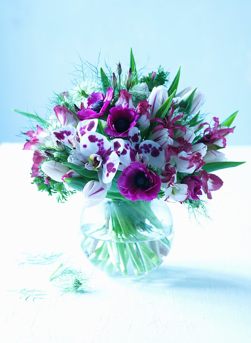 Orchids and anemones in glass vase