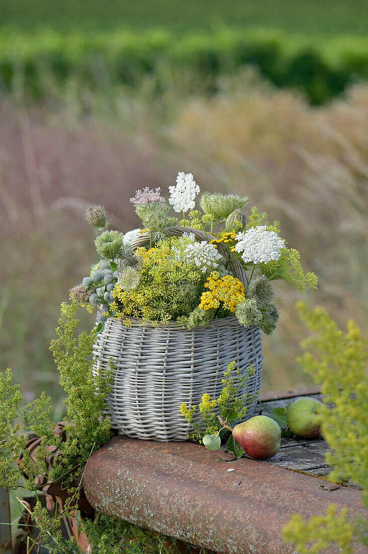 Korb mit Wilder Möhre (Samenstand), Schafgarbe, Rainfarn und Wiesenfenchel