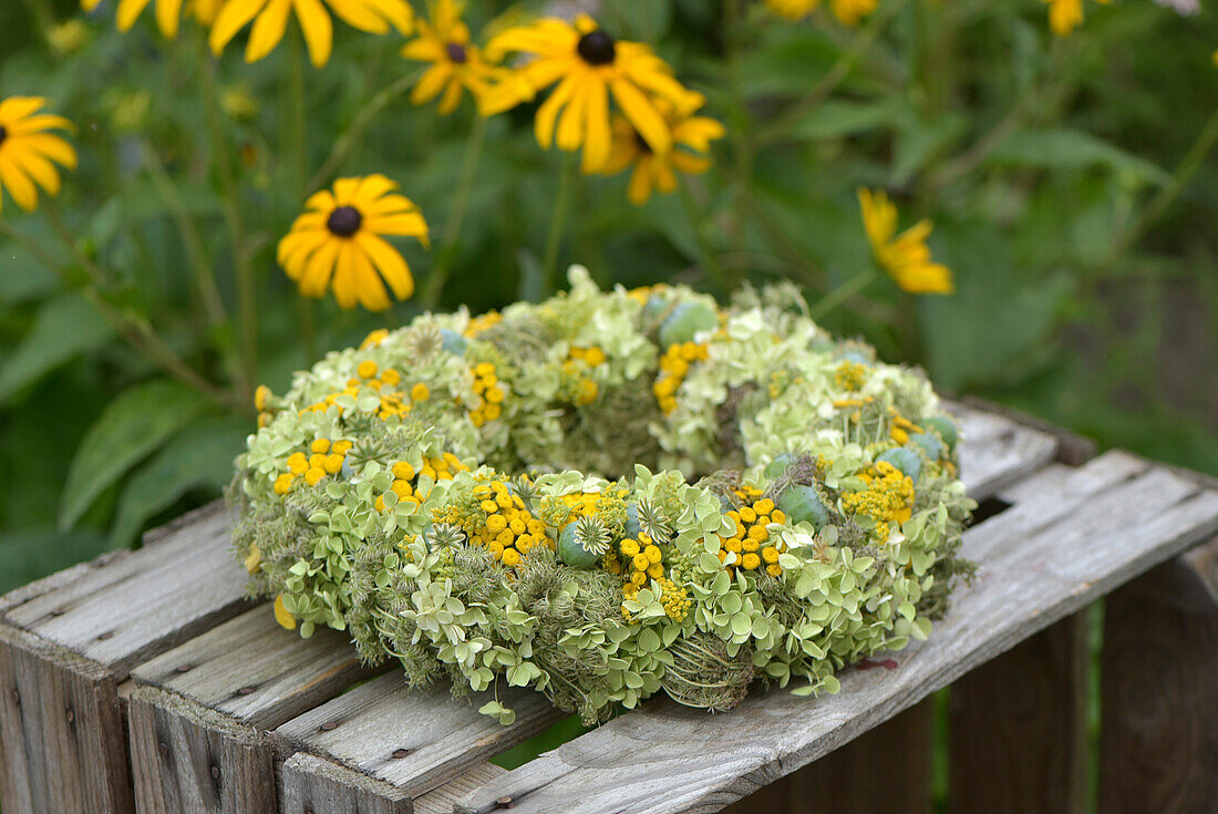 Summer wreath, material tied on a reed (hydrangea, poppy pods, tansy, wild carrot)