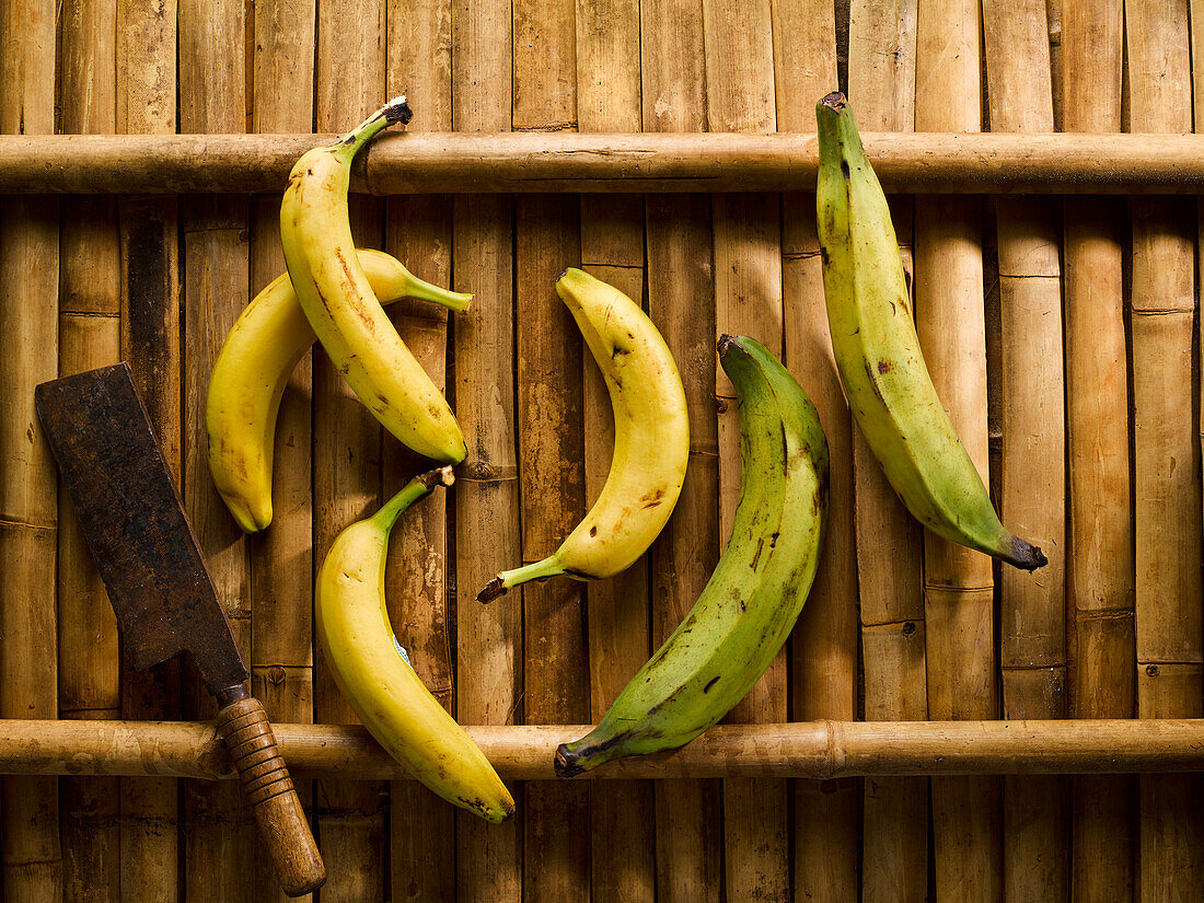 Bananen und Kochbananen