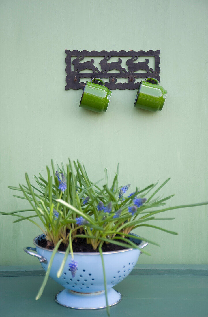 Coat rack with two cups