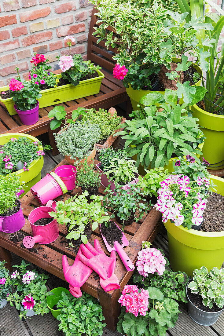 Herb and vegetable garden on balcony