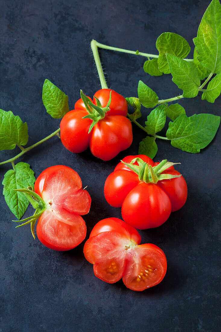 Kirschtomaten 'Voyage' auf dunklem Grund