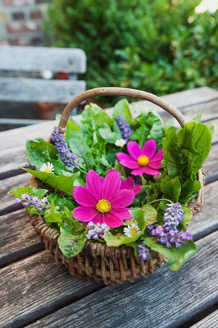 Essbare Blumen, Blätter und Kräuter im Weidenkorb auf dem Gartentisch