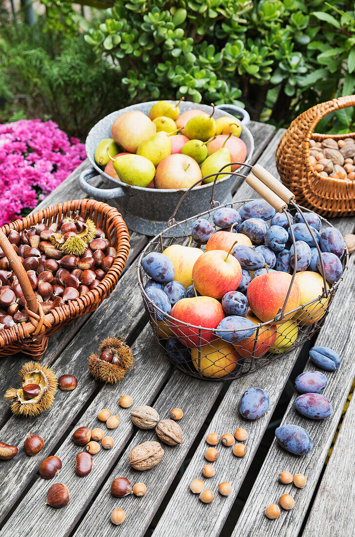 Gartentisch gefüllt mit Herbsternte von Nüssen und Früchten