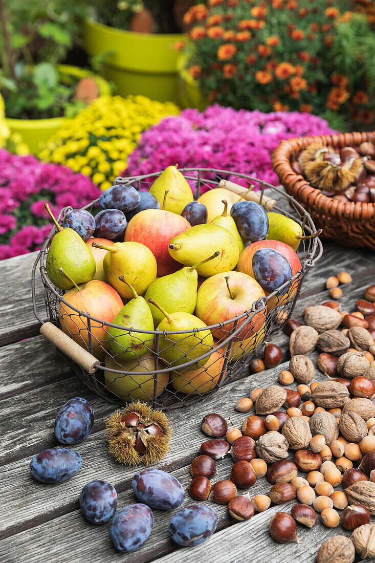 Gartentisch gefüllt mit Herbsternte von Nüssen und Früchten