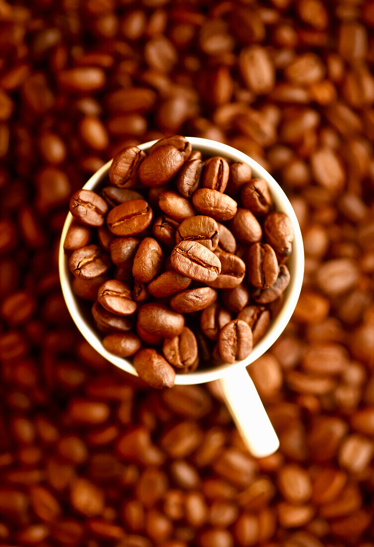 Tasse Kaffeebohnen, Nahaufnahme