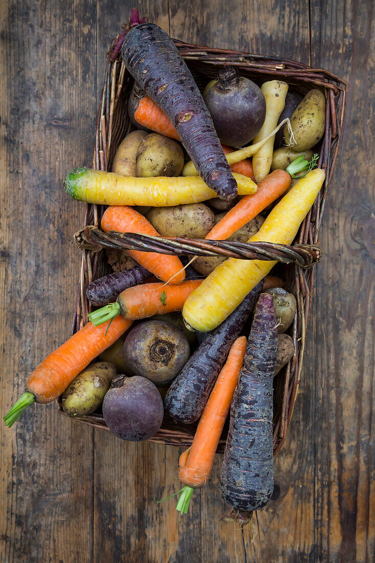Wintergemüse, Karotte, Rote Beete, Kartoffel und Pastinaken im Korb