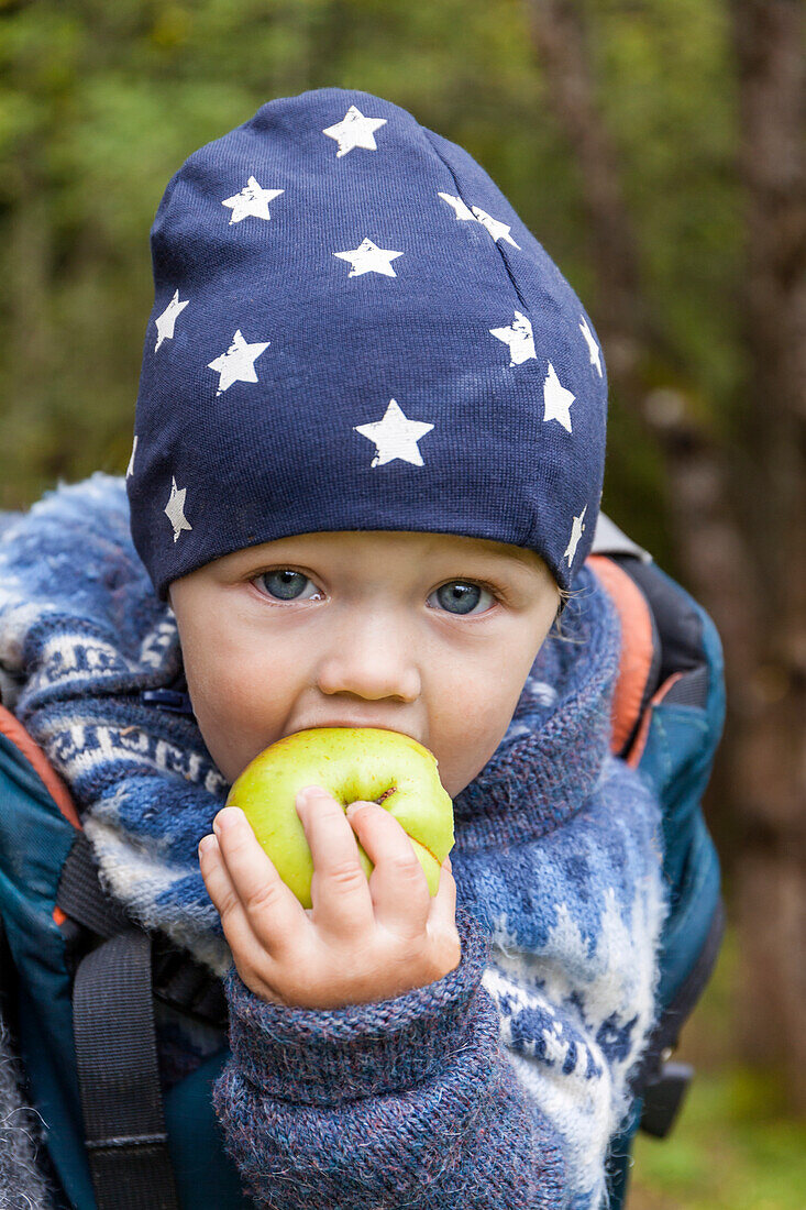Portrait of baby boy in baby carrier eating an apple