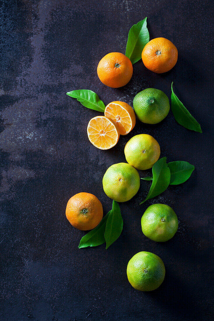 Organische Mandarinen und Zitronen auf dunklem Hintergrund
