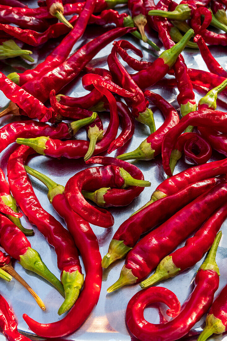 Close-up of fresh red chili pepper outdoors